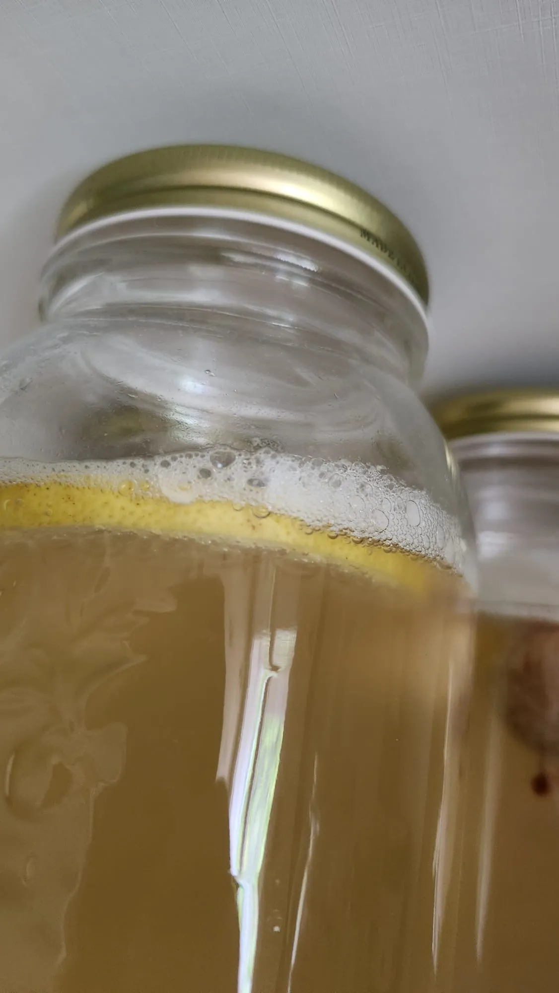 Bocaux de kéfir en fermentation, brasserie Sédiments