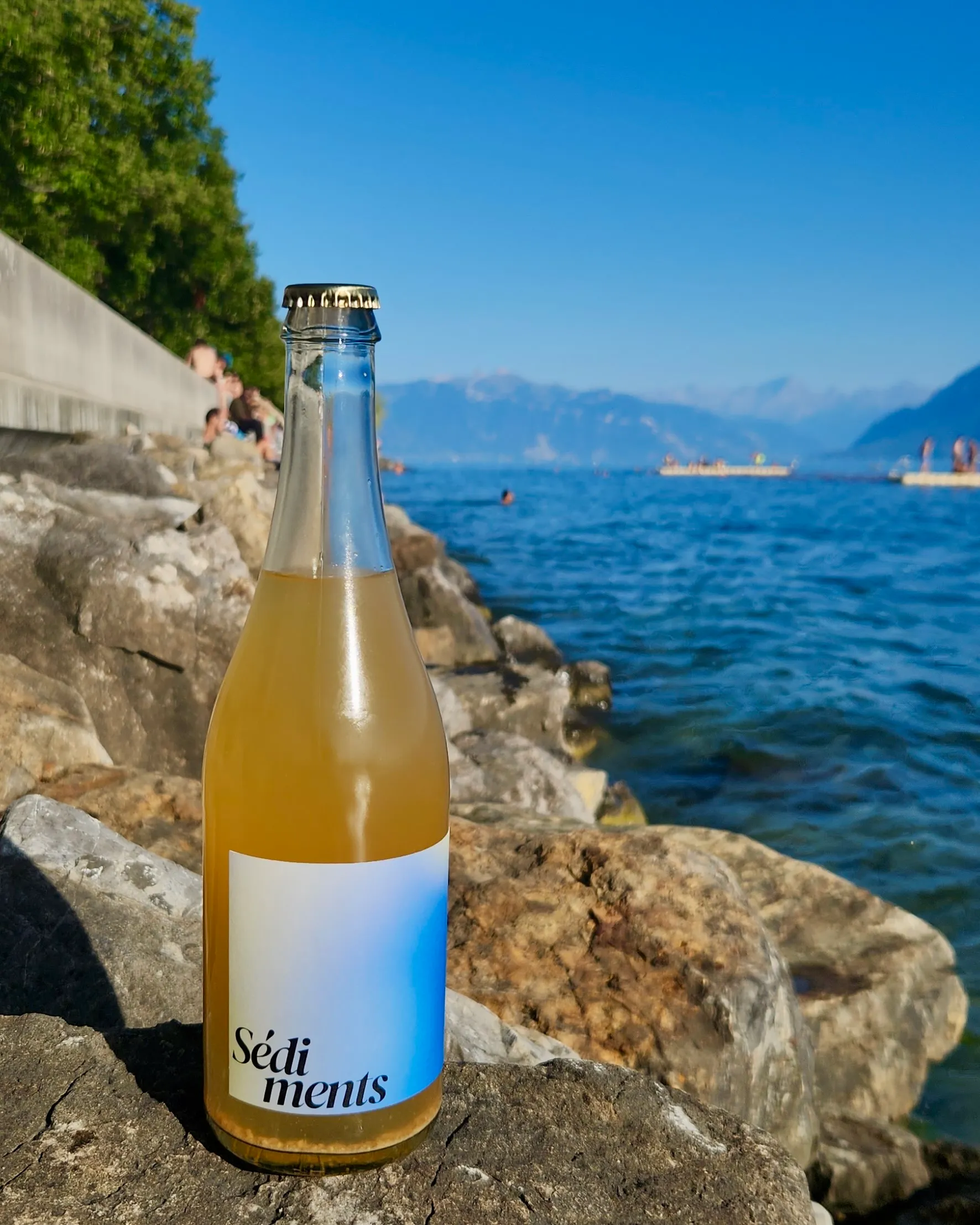 Les prémices posée sur les rochers au bord du Léman