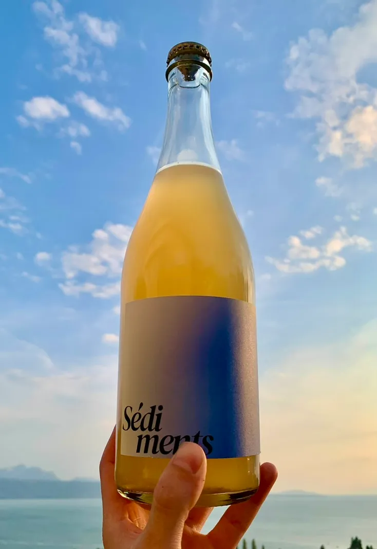 Les prémices levée vers le ciel au coucher du soleil